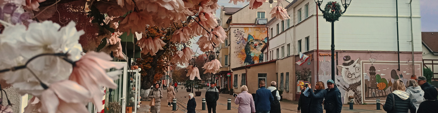 Куршская коса из Янтарного + Зеленоградск