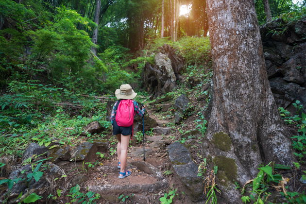 Треккинг к вершине Тьеншондинь с водопадом и панорамами Фукуока