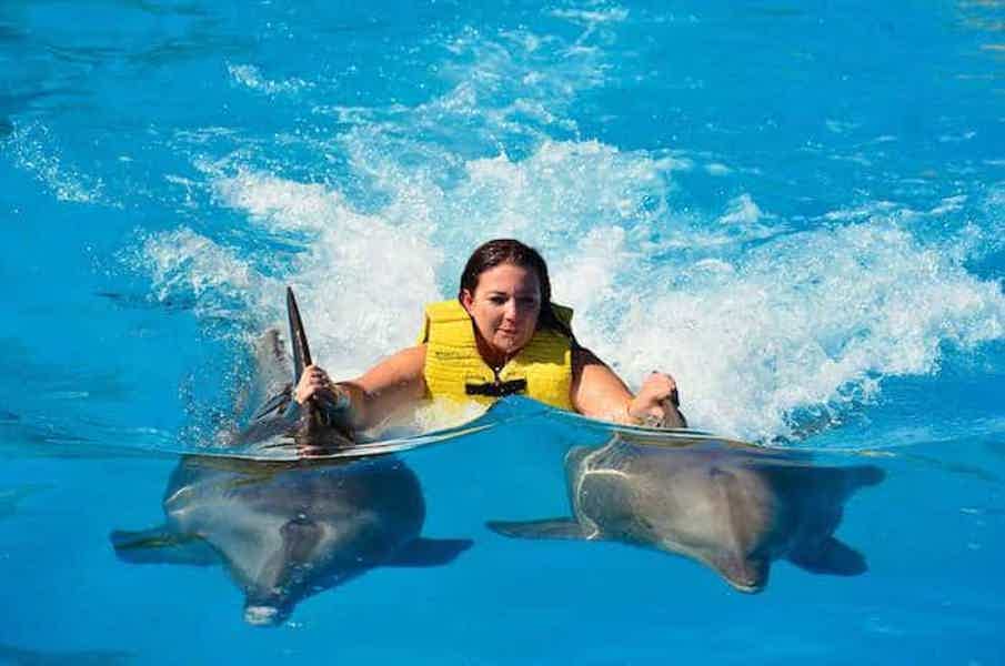 Плавание с дельфинами в Кемере - фото 3