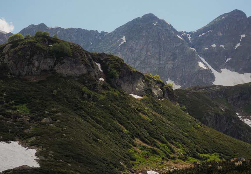 Высокогорный хайкинг — в Архыз с хаски - фото 5