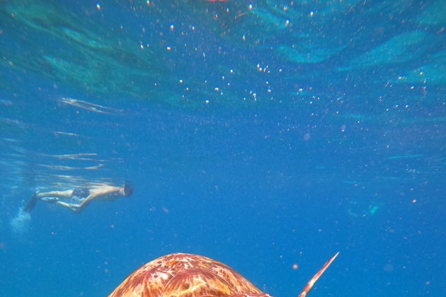 Легендарные Симиланы. Лучшие пляжи мира ждут вас