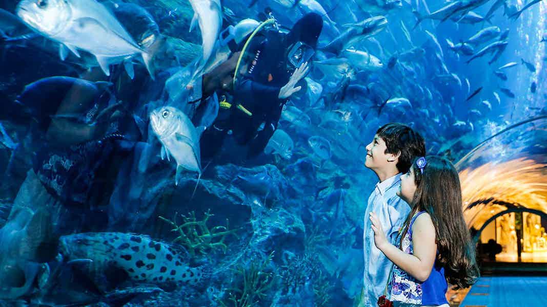 Дубайский аквариум и подводный зоопарк (входной билет) - фото 5