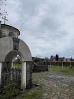 Экскурсия "Абхазия — страна души: Гагра, Рица, Новый Афон" - фото отзыва 2