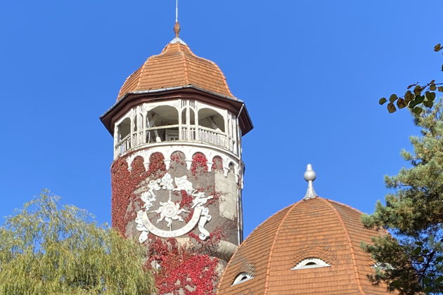 Виды Лучшие курорты — Зеленоградск и Светлогорск + сыроварня «Шаакен Дорф»