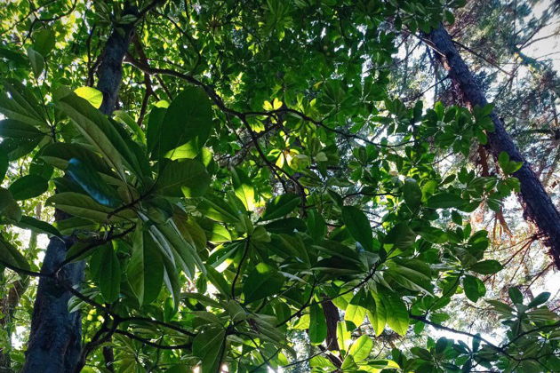 Виды Крепость Петра и Ботанический сад