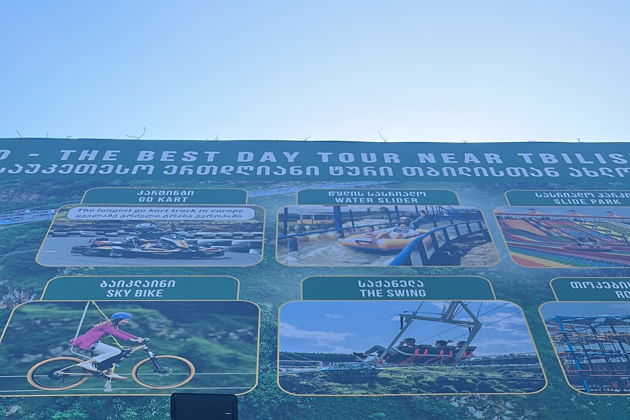 Виды НОВОГОДНИЙ ВКУС ГРУЗИИ