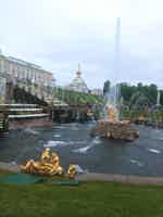 Экскурсия "Роскошные залы Большого дворца: автобусная экскурсия в Петергоф" - фото отзыва 1