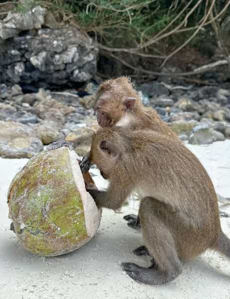 Магия трех островов: Пхи-Пхи, Рача и пылающий закат у Майтона - фото 5