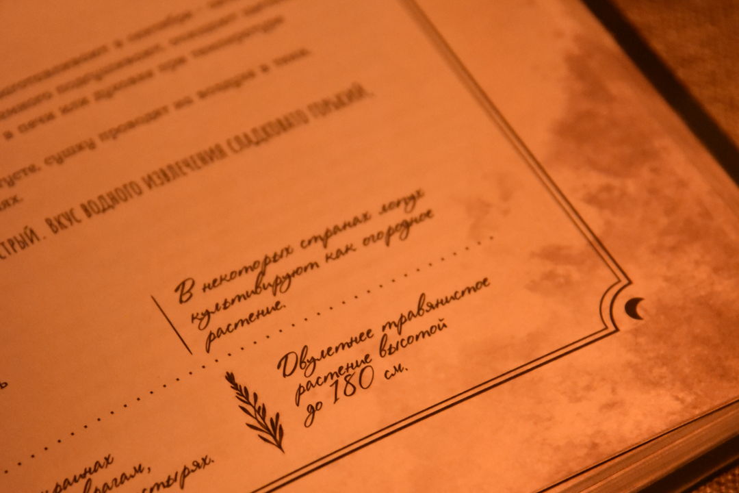 Спиритический салон: иммерсивный вечер с мастер-классом и гаданиями — фото 3