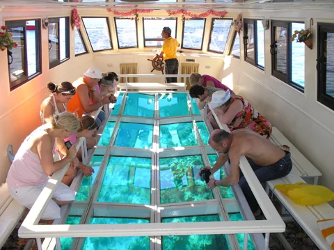 Катание на лодке с прозрачным дном по Красному морю