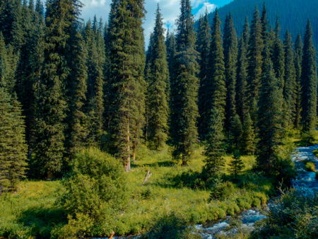 Музей Ильменского заповедника