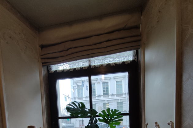 Виды Революционно - террористический Петербург. 