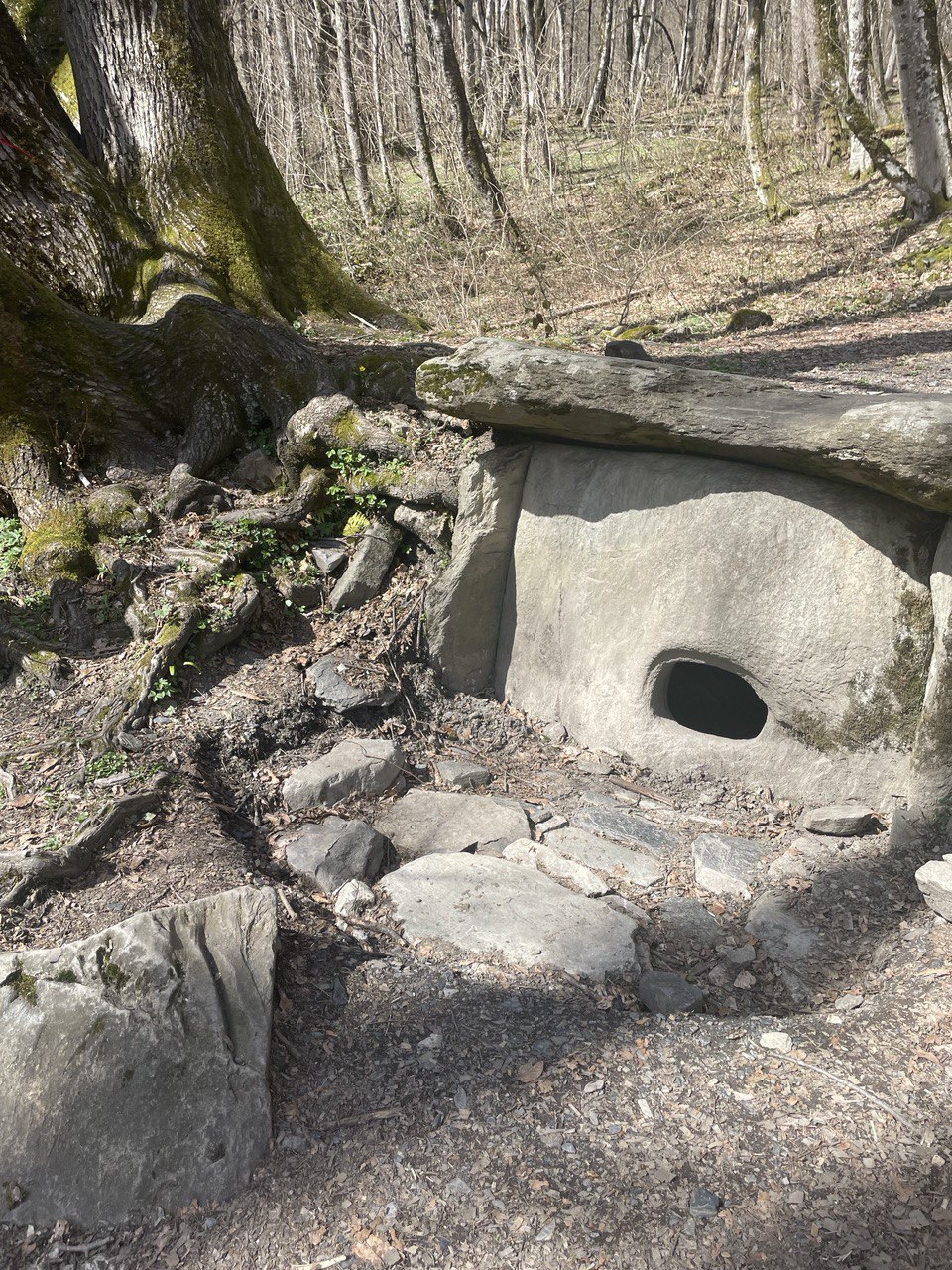 Экскурсия Тайны Краснополянских Дольменов