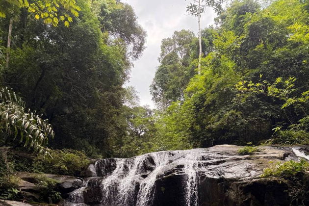 Фото к экскурсии Путешествие по джунглям в поисках "Следа Будды"