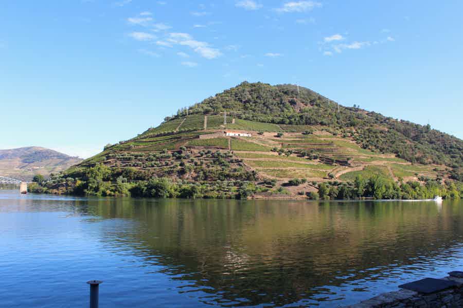From Porto: Douro Valley Viewpoints and Wineries Day Trip - photo 2