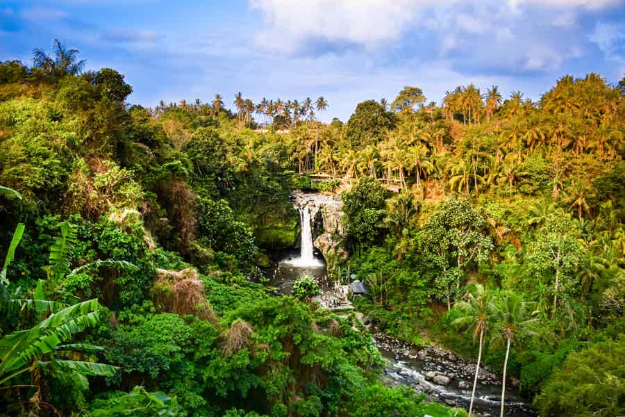 Бали: водопады в джунглях и древний храм - фото 5