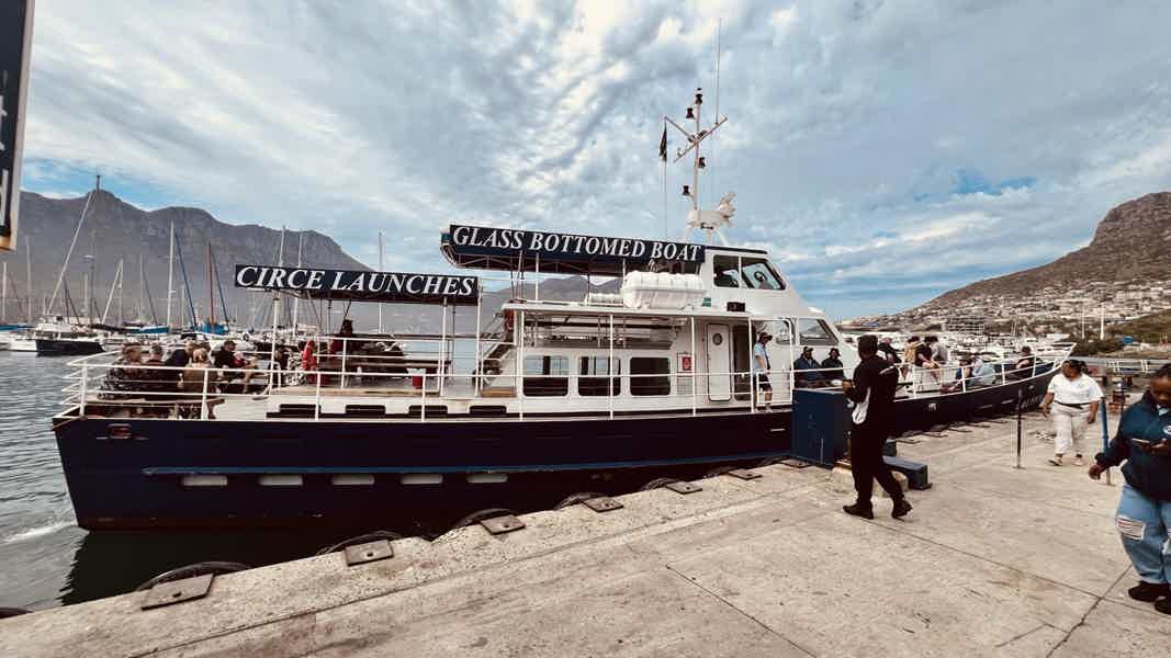 Пингвины, Тюлени и мыс Доброй Надежды: день у океана - фото 2