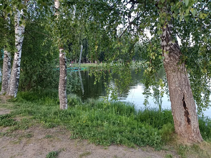 «Сказочная Берендеевка»: небанальный парковый маршрут в Костроме — фото 4, Кострома | Покатаем