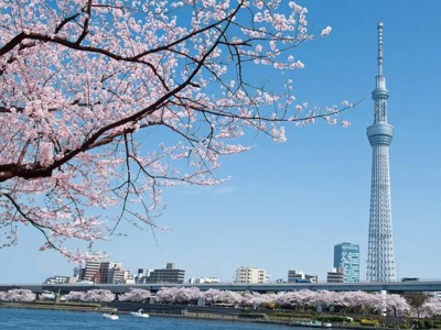 Все прелести Токио за один день