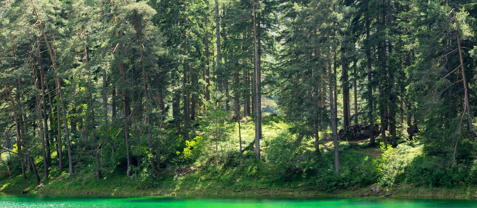 Из Вены в Альпийскую Штирию — озеро Грюнер-Зе и альпийские луга — экскурсия, Вена, Австрия | Покатаем