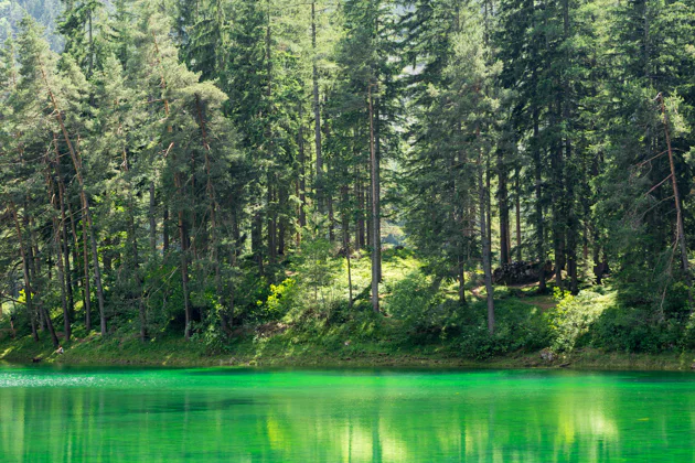 Private Walking Tour to the Alpine lake Grüner see (Green Lake) from Vienna — tour in Vienna | Pokataem