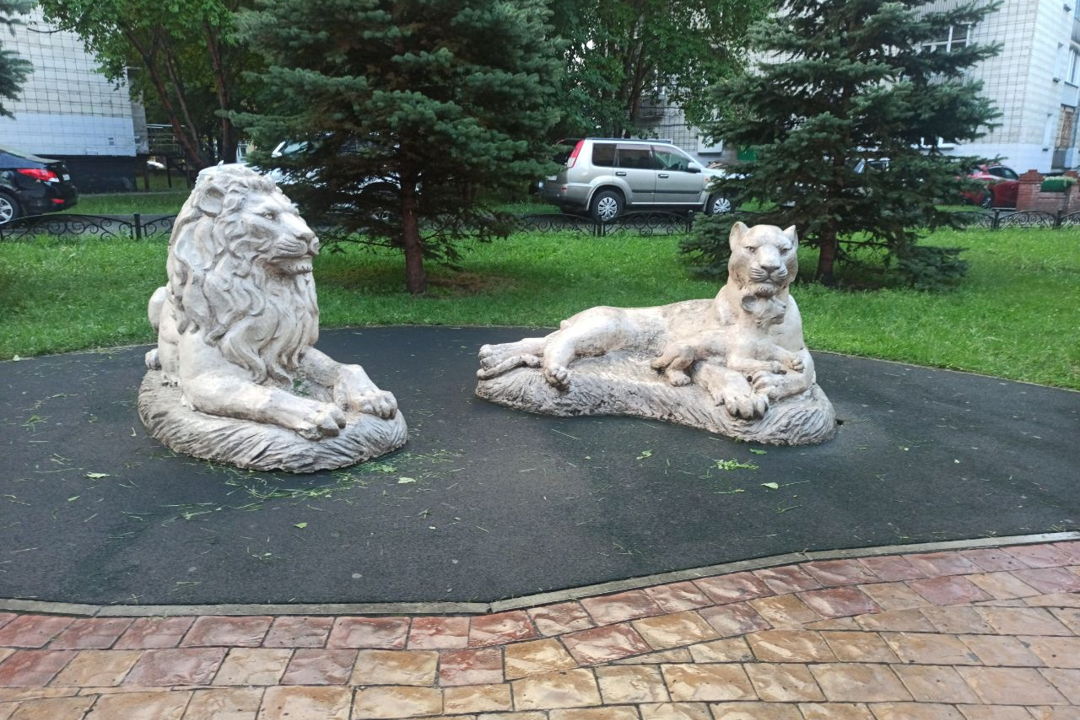 Сборная экскурсия Академгородок и ГЭС в Новосибирске — фото 1