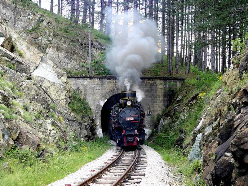 В гостях у Кустурицы — Западная Сербия нац.парк Тара, каньон Дрина — фото 2, Белград | Покатаем