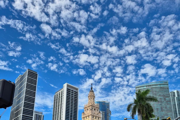 Индивидуальная пешеходная экскурсия в Майами максимум впечатлений за 5 ч