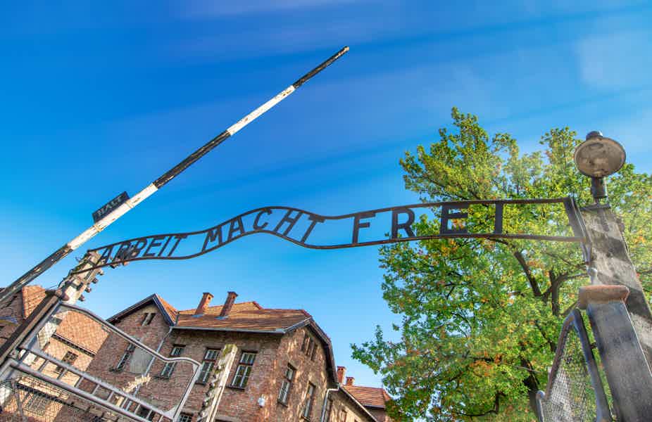 Auschwitz & Salt Mine: Guided Tour from Krakow (Optional Lunch) - photo 1