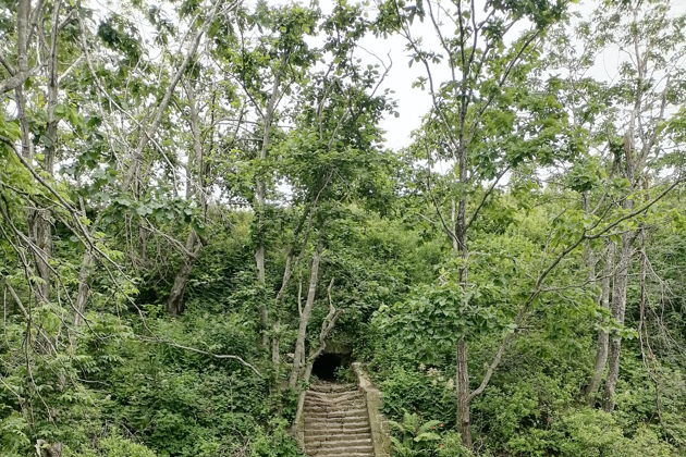 Виды Знакомство с Владивостоком