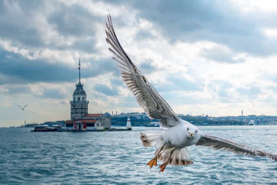 Экскурсия «Знакомство со Стамбулом» - фото 5