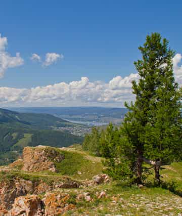 Любоваться сибирской тайгой