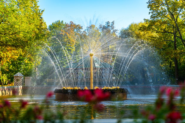 Виды Петергоф индивидуально на транспорте комфорт класса