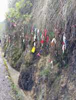 Экскурсия "Джип-туры в мини-группе по Абхазии из Гагры" - фото отзыва 5