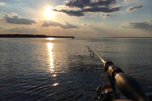Виды Рыбалка на катере в Выборгском заливе: кордон Кузьмича и окрестности