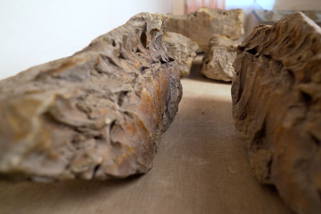 Виды Костёнки — прикосновение к миру древних людей