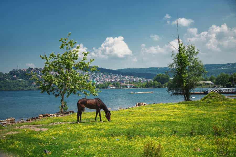 Стамбул: тур на английском на весь день к озеру Сапанджа и Машукие - фото 3