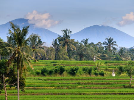 Водопад Тегенунган