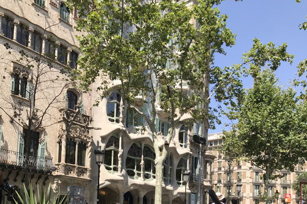 Виды Велотур и пешая прогулка по Барселоне   