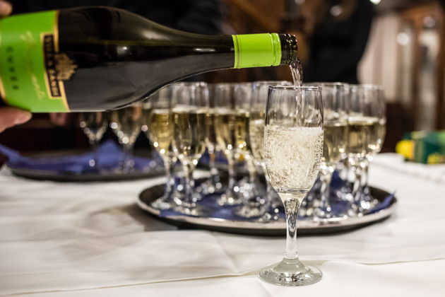 Фото к экскурсии Круиз по Дунаю и PROSECCO без органичений