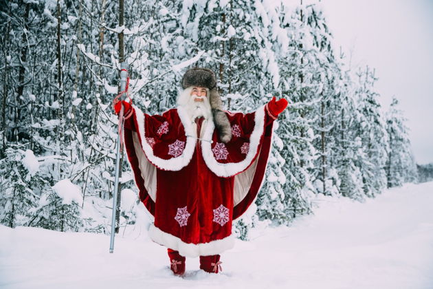 Виды Новогодняя сказка в 
