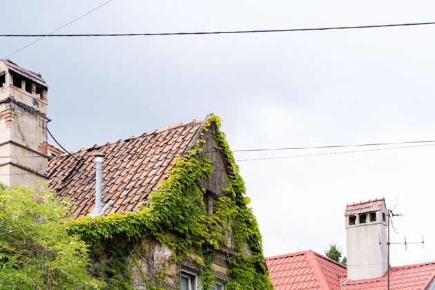 Виды Очарование Ратсхофа