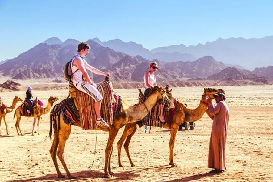 Рассвет в Синайской пустыне и сафари на квадроциклах - фото 4