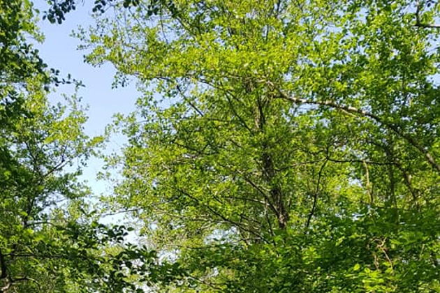 Виды Национальный парк Колхети — маленький рай 