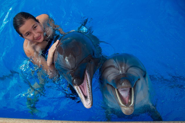 Виды Шоу дельфинов, тюленей и экзотических птиц в Дубайском дельфинарии