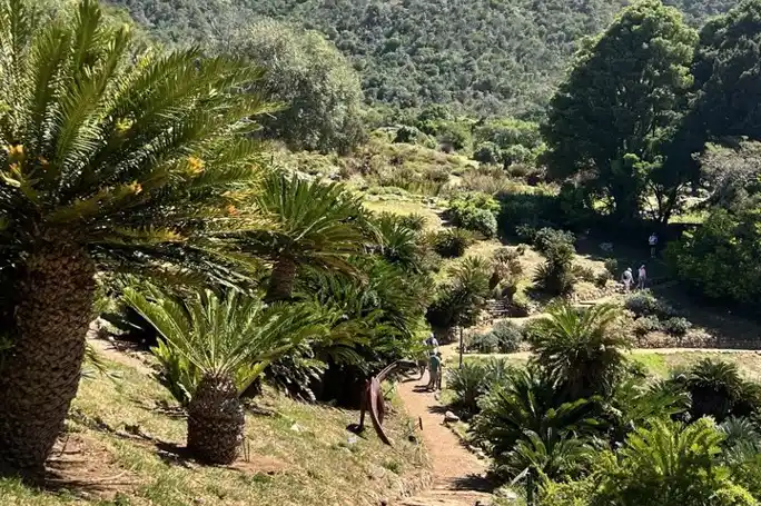 Контрасты Кейптауна: тауншип Ланга, знаменитая винная ферма и Кирстенбош