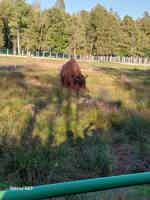 Экскурсия "Брестская крепость и Беловежская пуща из Минска за 1 день" - фото отзыва 1