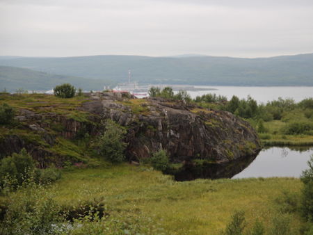 Бараний лоб