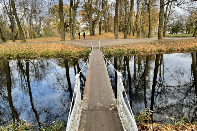 Из Петербурга — в Царское Село: Дворец, Парк и Лицей — экскурсия, Санкт-Петербург | Покатаем