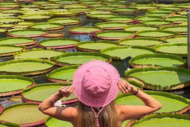 Рассвет на Самет Нангше. Кувшинки. Джеймс Бонд. Пляж с самолётами